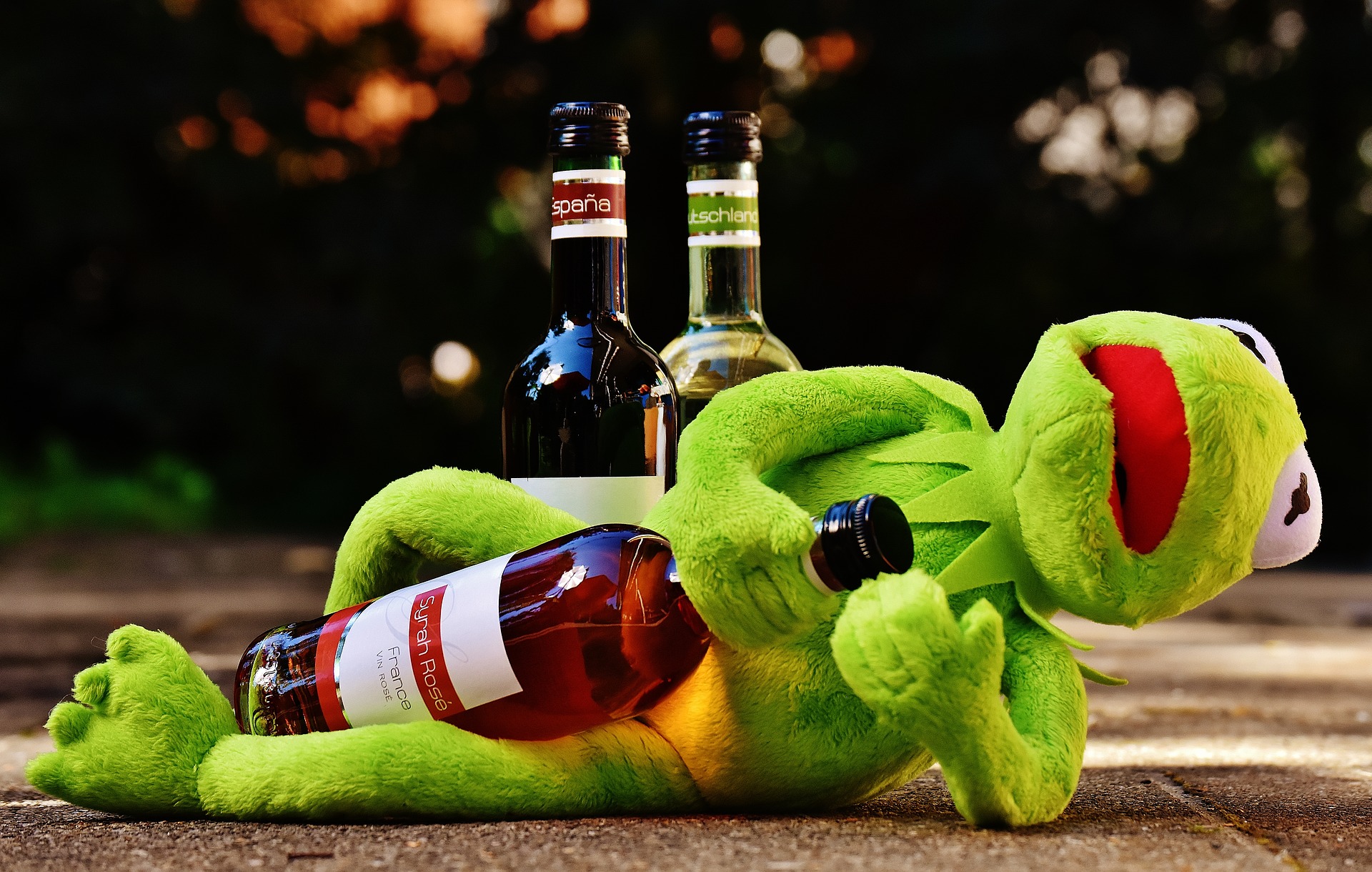 kermit drunk with alcohol