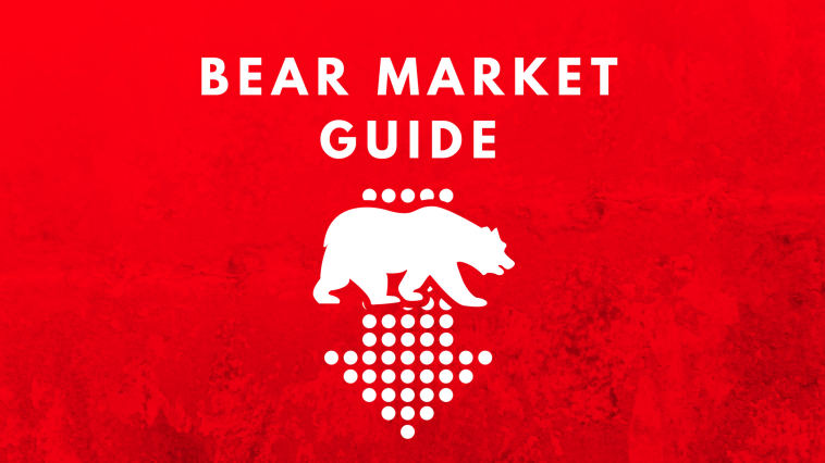 5 things to do in a bear market